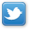 Twitter Logo